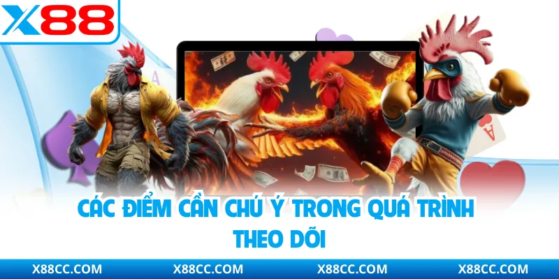 Đá Gà Cựa Sắt - Hình Thức Cá Cược Trực Tuyến Được Quan Tâm 4 Các điểm cần chú ý trong quá trình theo dõi